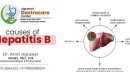 What is Hepatitis B?, Prevention, Treatment - Agrawal Gastrocare Center Indore